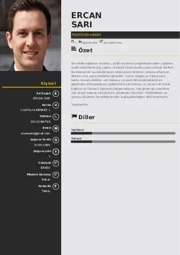 Pratisyen Hekim Cv Örnekleri cv indir